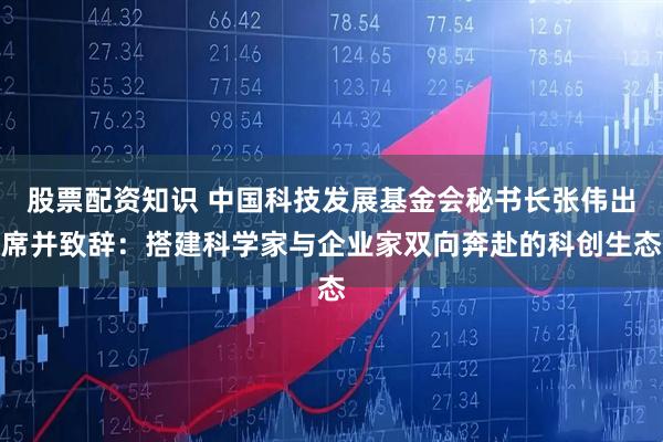 股票配资知识 中国科技发展基金会秘书长张伟出席并致辞：搭建科学家与企业家双向奔赴的科创生态