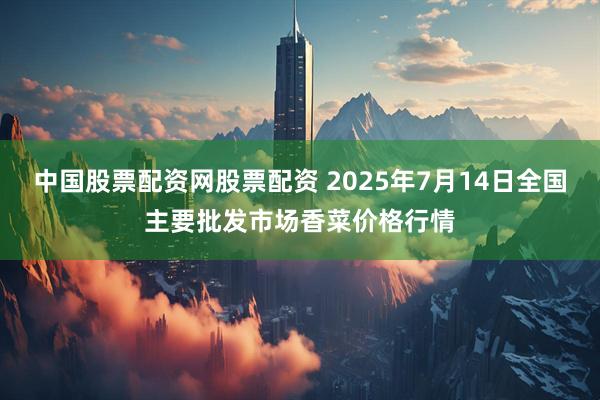 中国股票配资网股票配资 2025年7月14日全国主要批发市场香菜价格行情