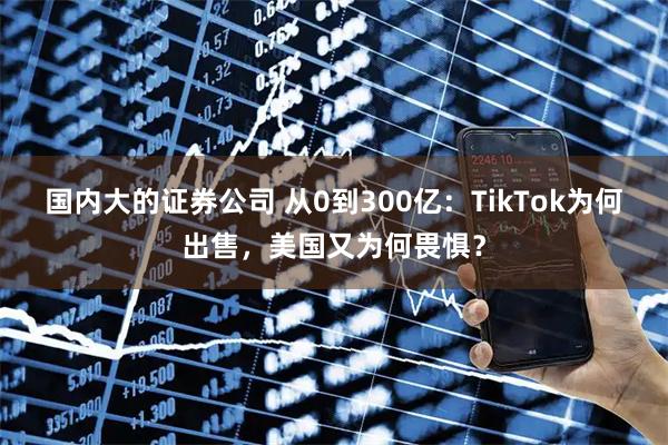 国内大的证券公司 从0到300亿：TikTok为何出售，美国又为何畏惧？