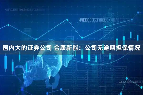 国内大的证券公司 合康新能：公司无逾期担保情况